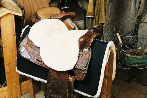 Standard Western Seat Cover