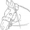Bridle Cover Set