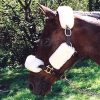 Bridle Cover Set