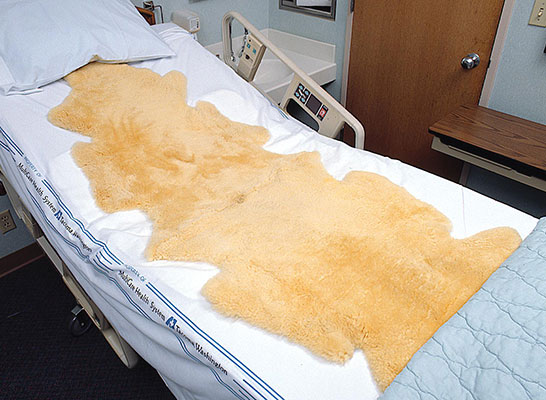 sheepskin mattress bed pad