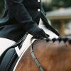 Dressage