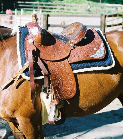 western saddle blanket