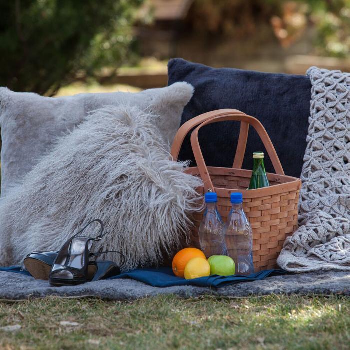 comfy picnic